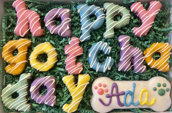 Happy Gotcha Day Dog Treat Gift Box - Image 4