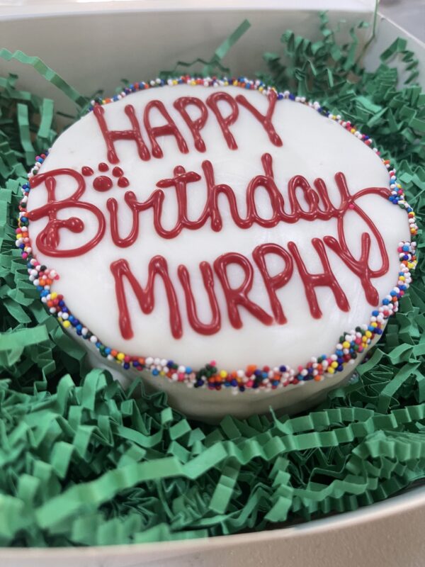 Big Red's Birthday Dog Treat Cake - Image 3