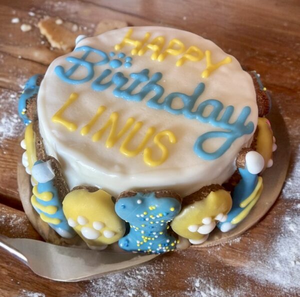 Fiesta PAWTY Dog Treat Cake - Image 3