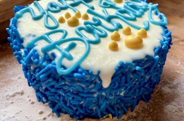 Vibrant Barkday Dog Treat Cake - Image 4