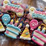 Fiesta PAWTY Dog Treat Gift Box