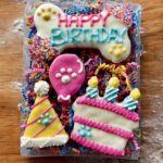Fiesta PAWTY Dog Treat Gift Box - Image 2
