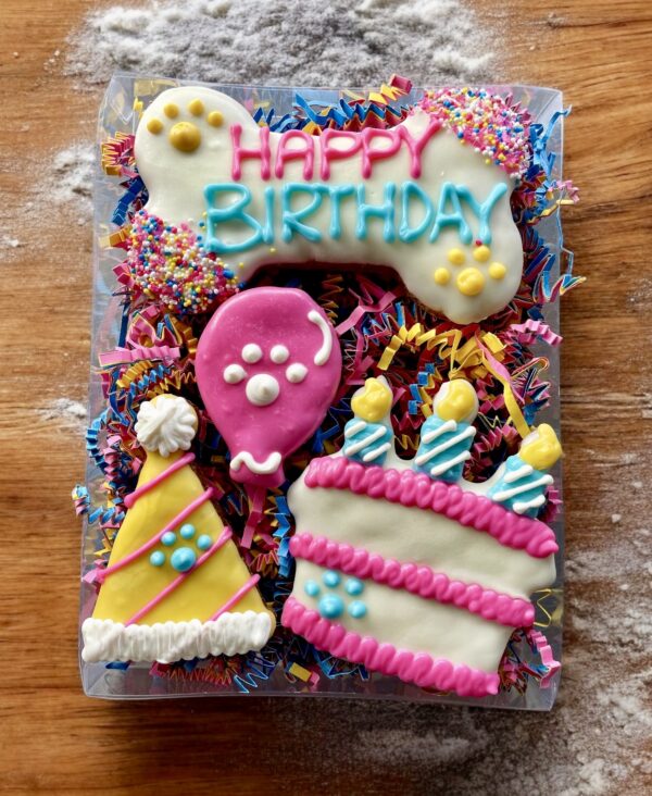 Fiesta PAWTY Dog Treat Gift Box - Image 2