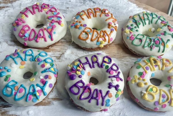 Happy BDAY Doggie Donut Dog Treat Gift Box