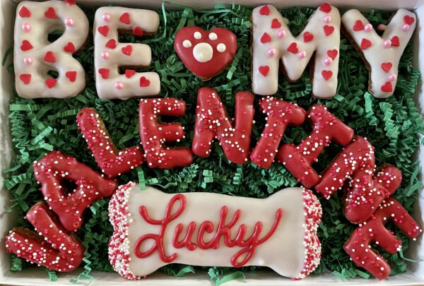 Be My Valentine Dog Treat Gift Box