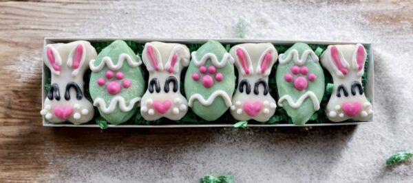 Peter Cottontail Easter Dog Treat Gift Box