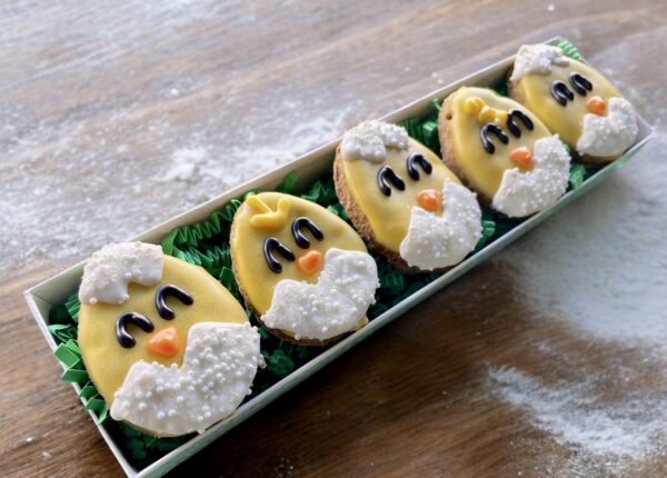 Baby Chick Hatchling Easter Dog Treat Gift Box - Image 2