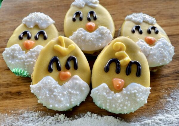 Baby Chick Hatchling Easter Dog Treat Gift Box