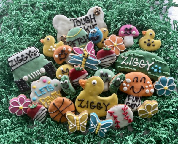 YumYum Monthly BARK BOX Dog Treats