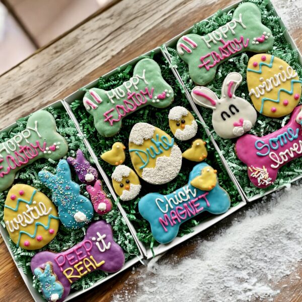 A Pun-ny Dog Treat Gift Box