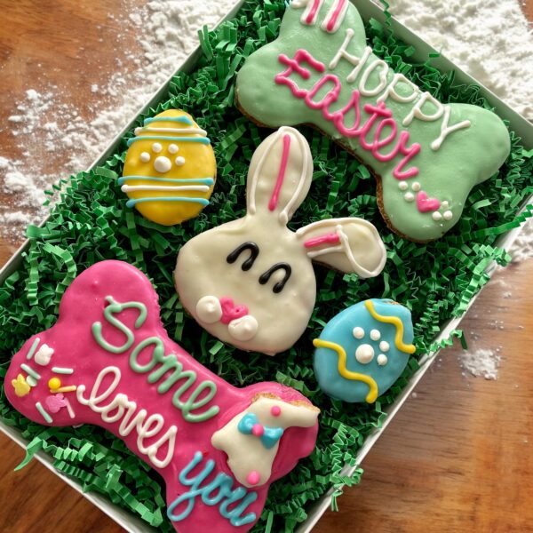 A Pun-ny Dog Treat Gift Box - Image 4