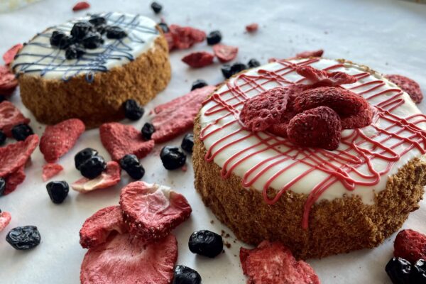 Fruity Tooty Cheese cakes Dog Cake Treat