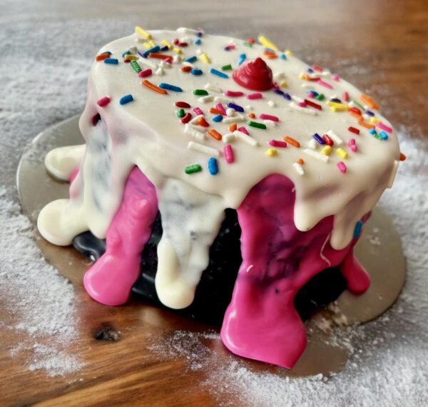 Neapolitan “ICE CREAM” Dog Cake Treat - Image 2