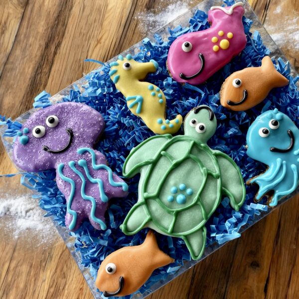 Under the Sea Summer Dog Treat Gift Box - Image 4
