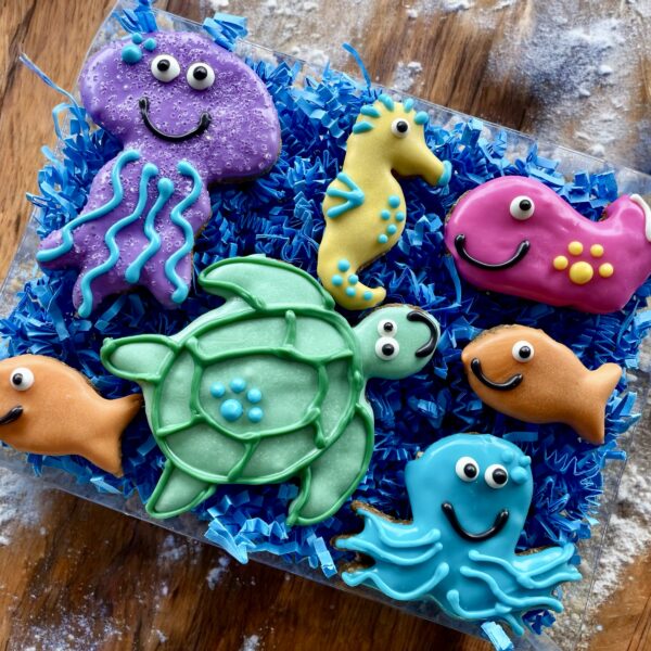 Under the Sea Summer Dog Treat Gift Box - Image 3