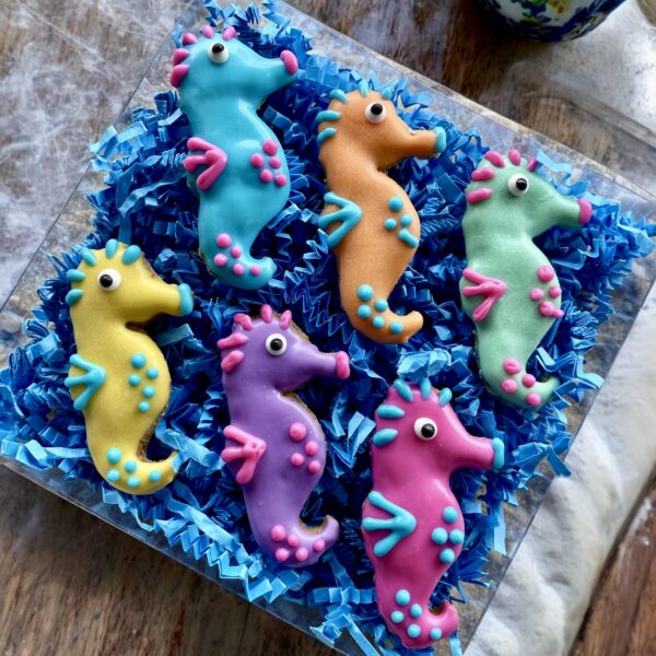 Snorkel Cuties Summer Dog Treat Gift Box - Image 4