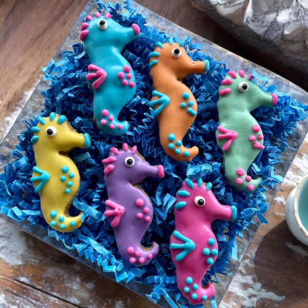 Snorkel Cuties Summer Dog Treat Gift Box