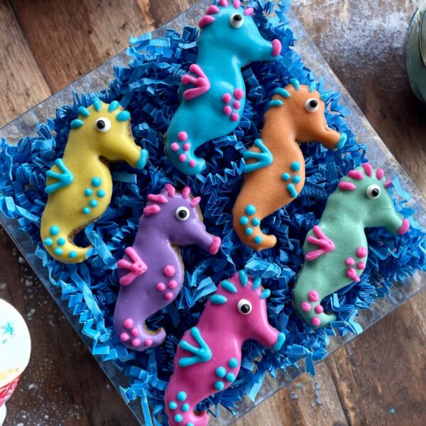 Snorkel Cuties Summer Dog Treat Gift Box - Image 3