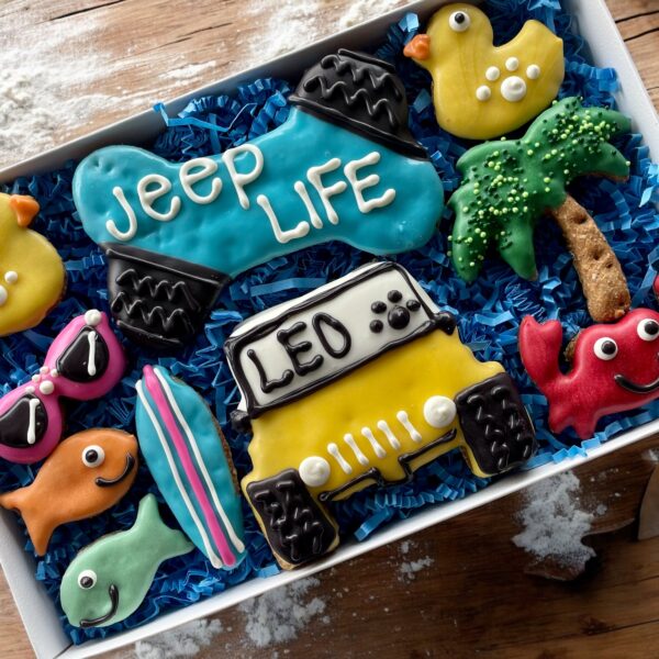 Jeep it Real Summer Dog Treat Gift Box
