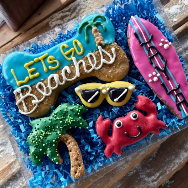 Lets Go BEACHES Summer Dog Treat Gift Box