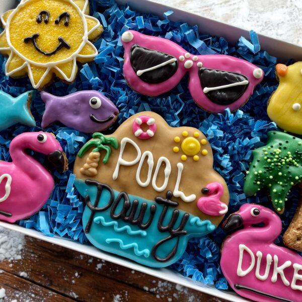 Pool PAWTY Summer Dog Treat Gift Box