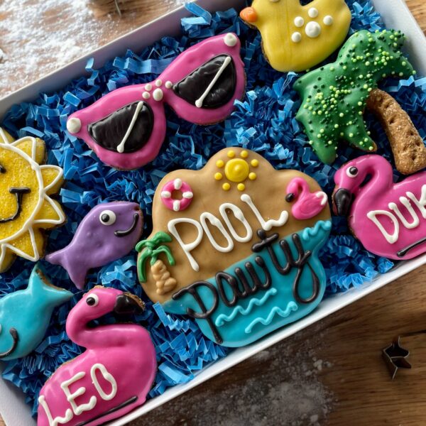 Pool PAWTY Summer Dog Treat Gift Box - Image 3