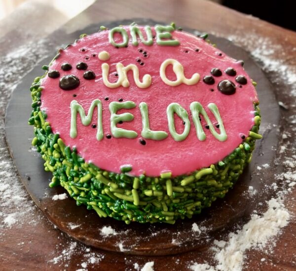 One in a MELON Dog Treat Cake - Image 5