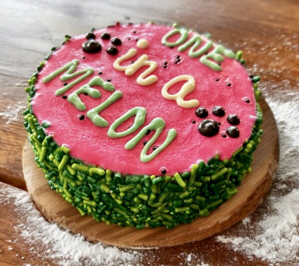 One in a MELON Dog Treat Cake - Image 3