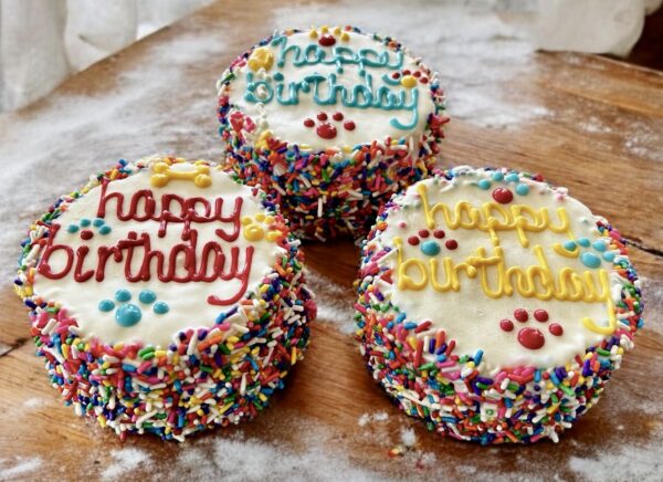 Carnival Birthday dog cake treat - Image 2