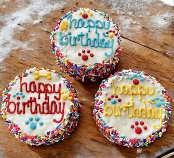Carnival Birthday dog cake treat - Image 3