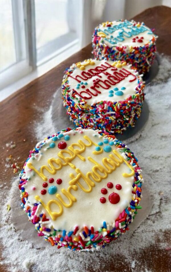 Carnival Birthday dog cake treat - Image 4