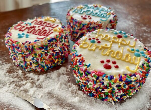 Carnival Birthday dog cake treat
