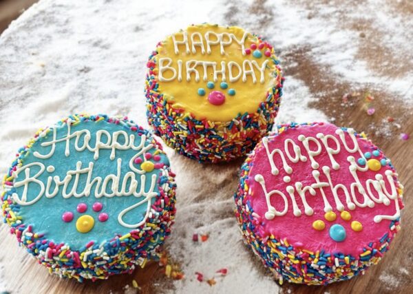 Colorful Fiesta Sprinkle Birthday dog cake treat - Image 2