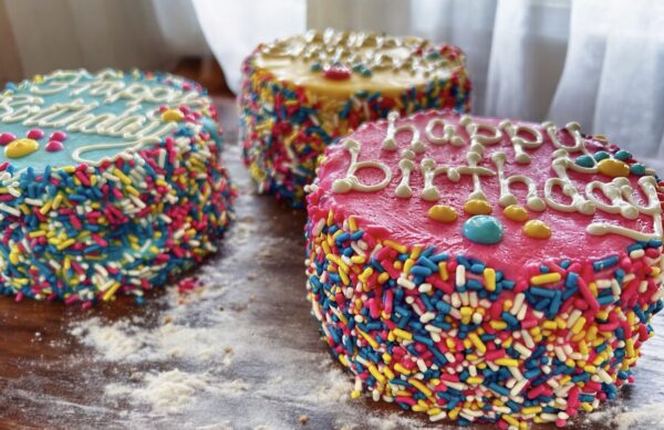 Colorful Fiesta Sprinkle Birthday dog cake treat - Image 3