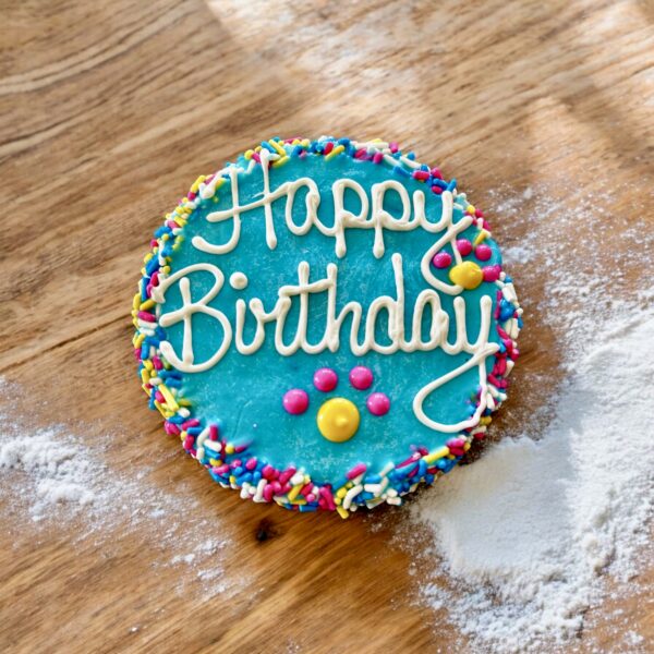 Colorful Fiesta Sprinkle Birthday dog cake treat - Image 5