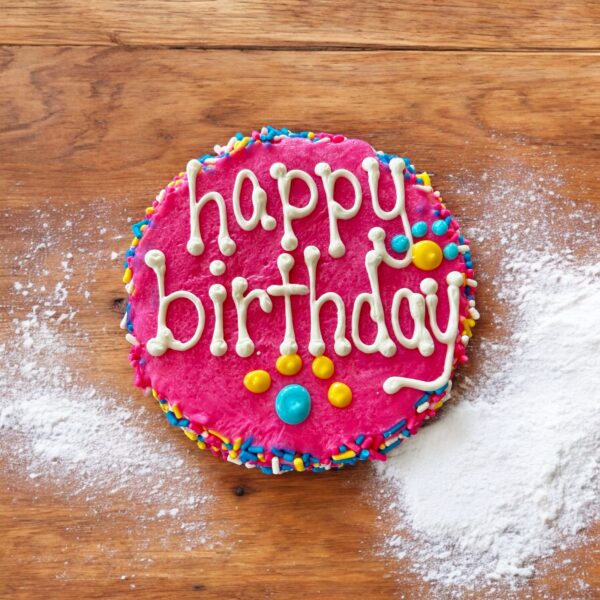 Colorful Fiesta Sprinkle Birthday dog cake treat - Image 6
