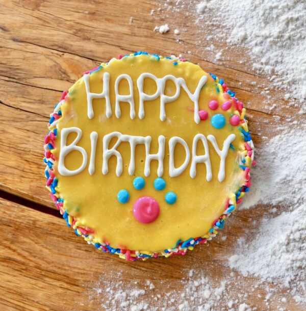 Colorful Fiesta Sprinkle Birthday dog cake treat - Image 7