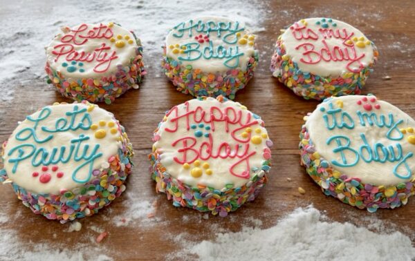 Confetti Birthday Dog Treat Cake - Image 4