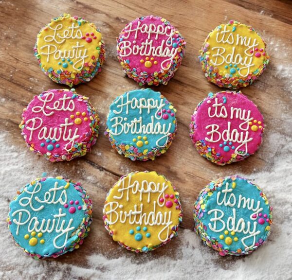 Colorful Confetti Dog Treat Cake