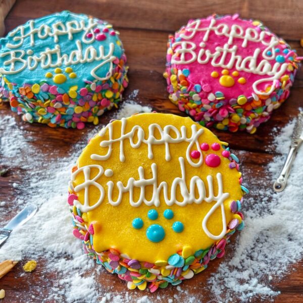 Colorful Confetti Dog Treat Cake - Image 2