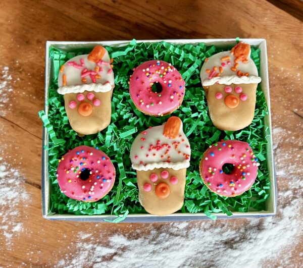 Mini Doggin Iced Coffee Dog Treat Gift Box - Image 3