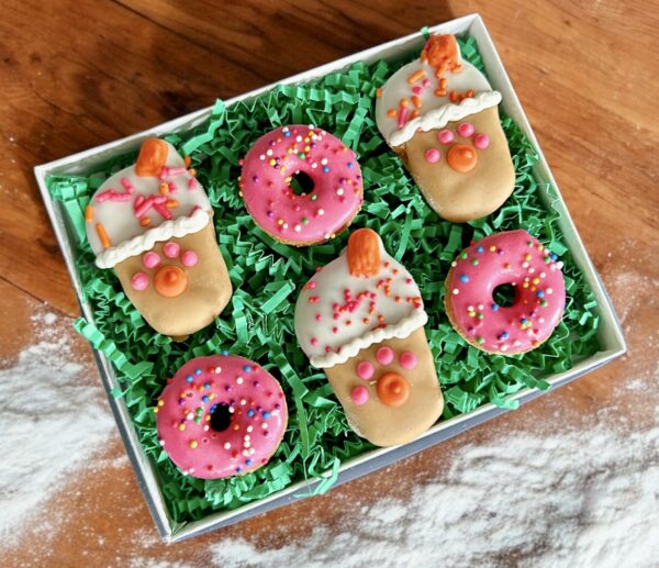 Mini Doggin Iced Coffee Dog Treat Gift Box