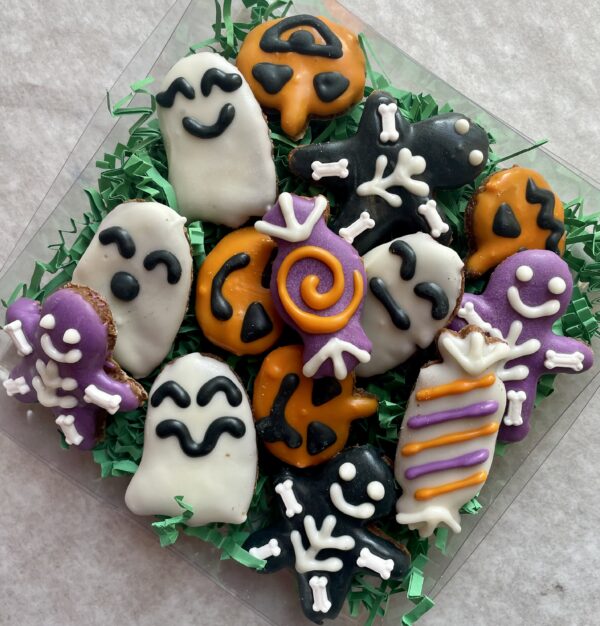 Monster Medley Halloween Dog Treat Gift Box