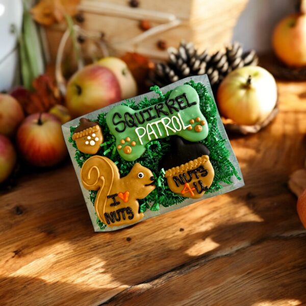 Squirrel Patrol Fall Dog Treat Gift Box - Image 2