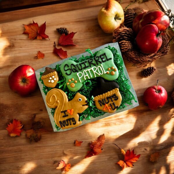Squirrel Patrol Fall Dog Treat Gift Box