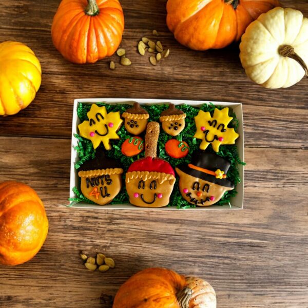 Fun Fall Dog Treat Gift Box - Image 2