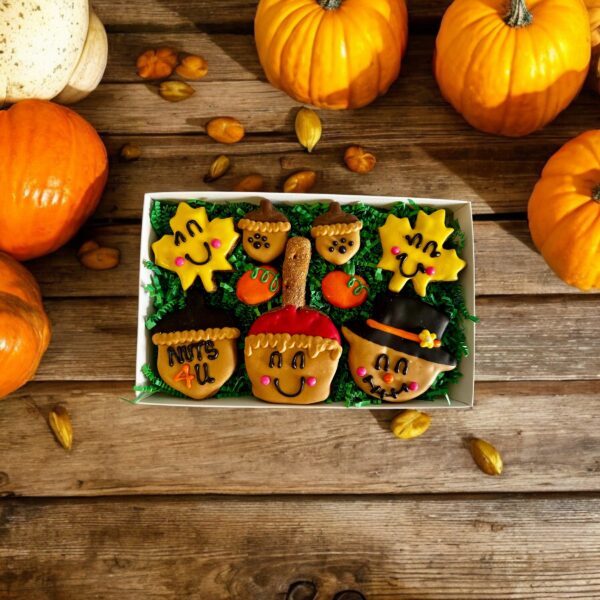 Fun Fall Dog Treat Gift Box