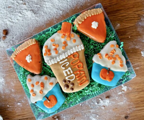 PUP-kin Iced Fall Dog Treat Gift Box